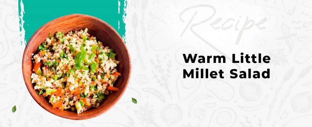 Warm Little Millet Salad - Wellfinity.in