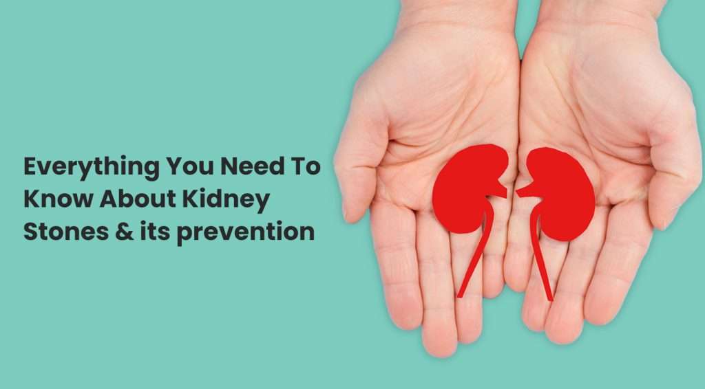 EVERYTHING YOU NEED TO KNOW ABOUT KIDNEY STONES & IT’S PREVENTION