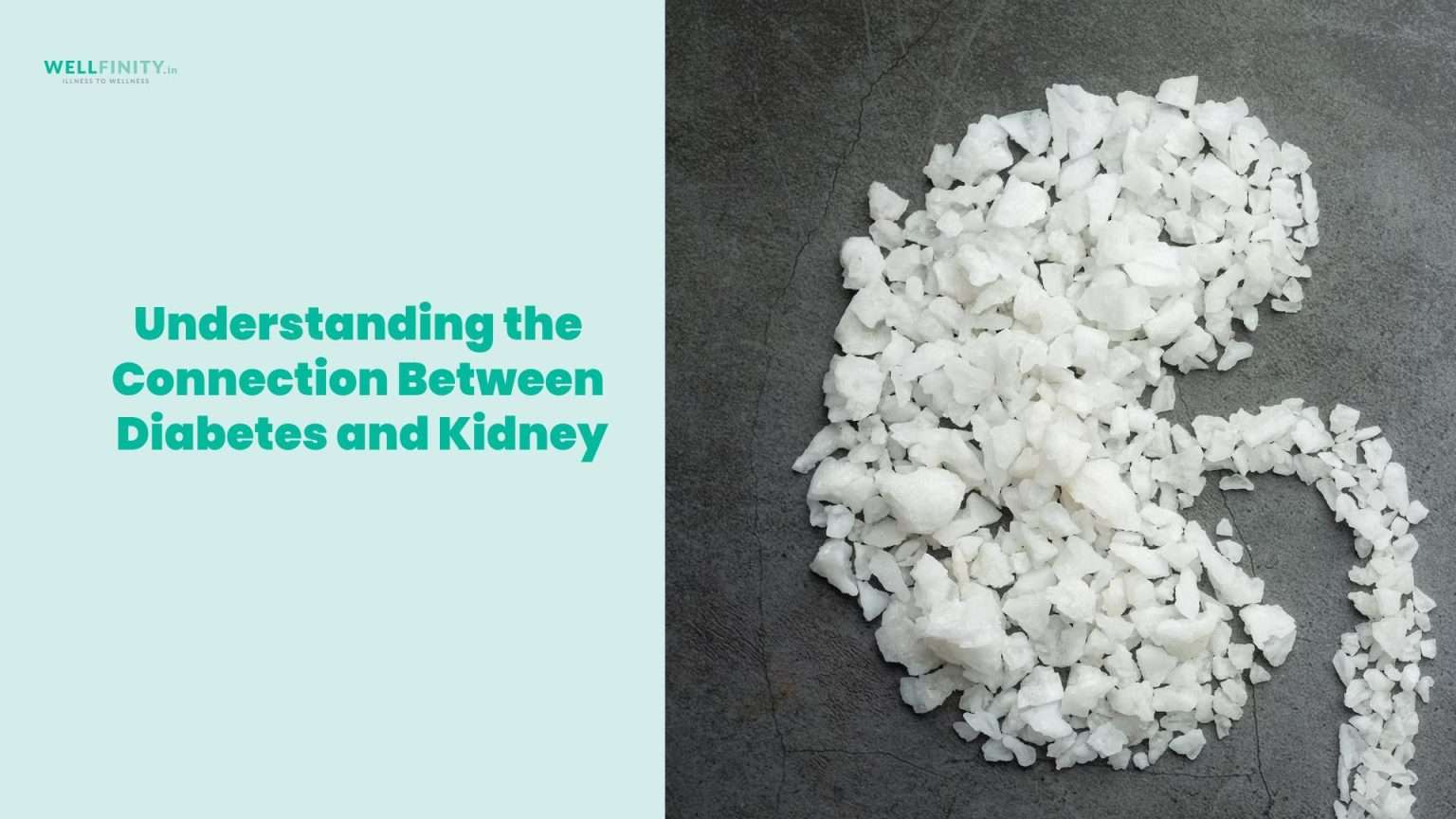 Understanding the Connection Between Diabetes and Kidney Disease ...