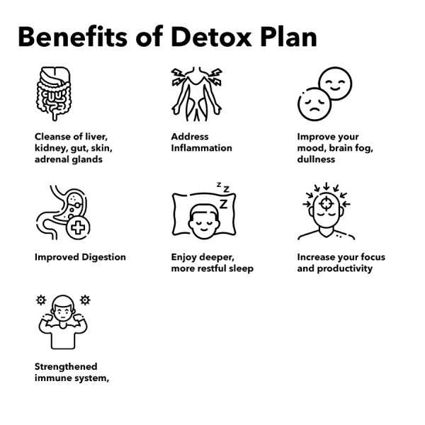 8-Week Advanced Detox Program | Root-Cause Detox & Cleanse - Image 2